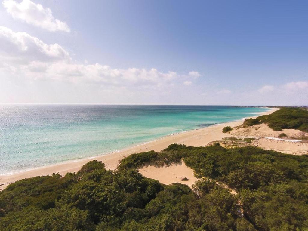 Villa Spiaggia Degli Angeli 포르토 세자레오 외부 사진