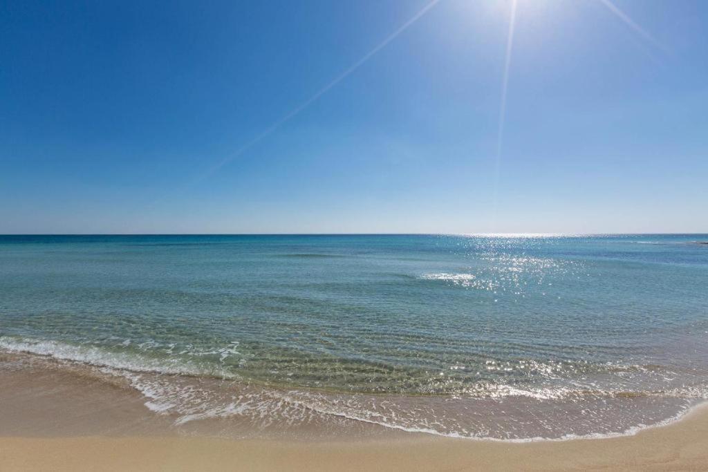 Villa Spiaggia Degli Angeli 포르토 세자레오 외부 사진