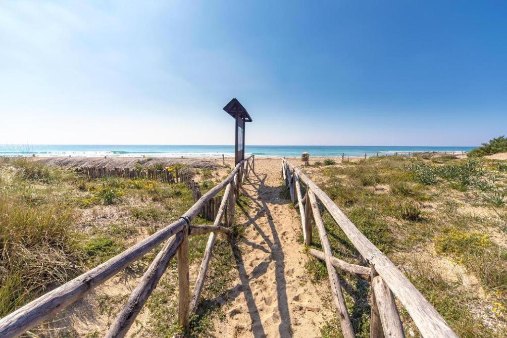 Villa Spiaggia Degli Angeli 포르토 세자레오 외부 사진