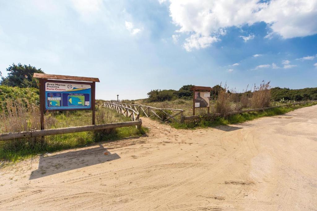 Villa Spiaggia Degli Angeli 포르토 세자레오 외부 사진